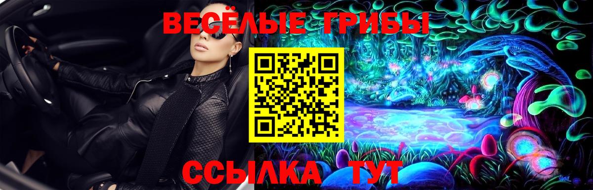 Димитровград  Галлюциногенные грибы Cubensis  Вход с VPN  Галлюциногенные грибы Psilocybe 